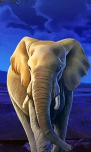 African Elephant